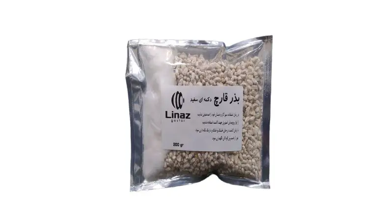 خرید بذر قارچ