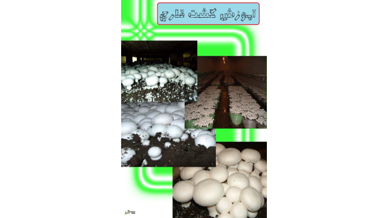 دانلود کتاب پرورش قارچ صدفی