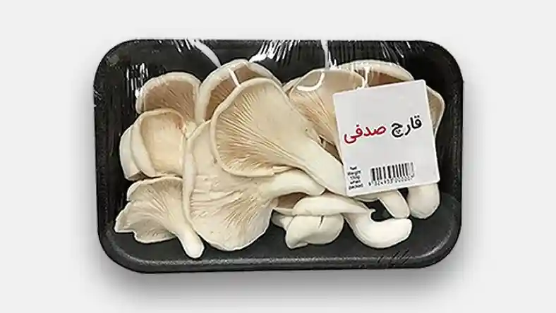 فروش قارچ صدفی