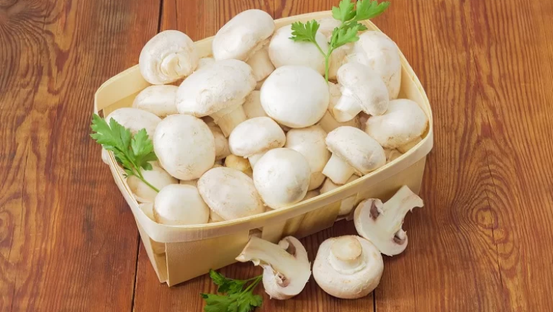 نگهداری قارچ در یخچال