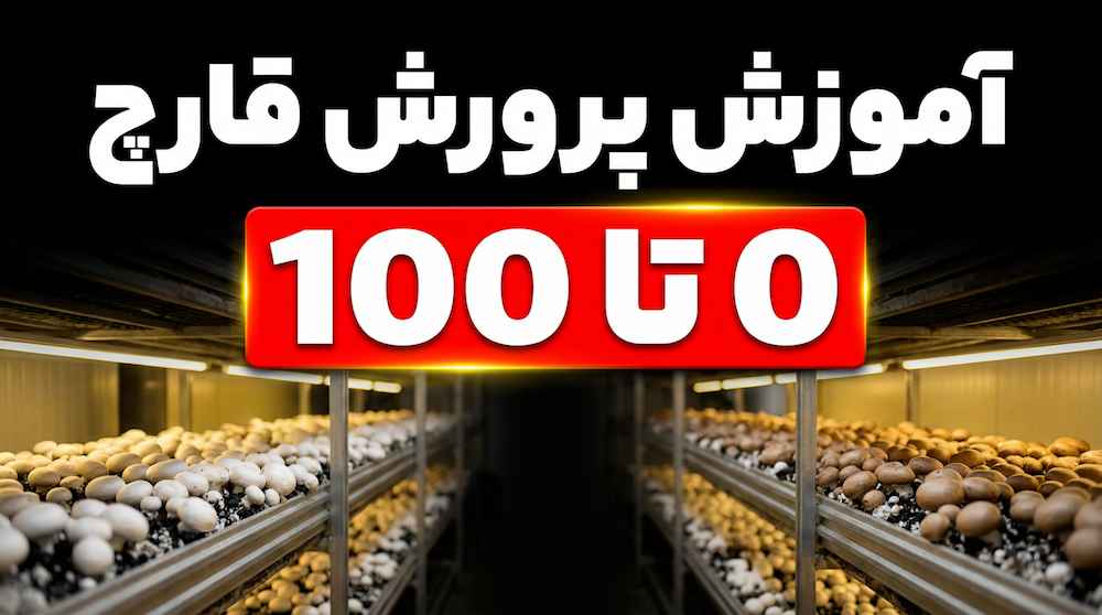 پرورش قارچ