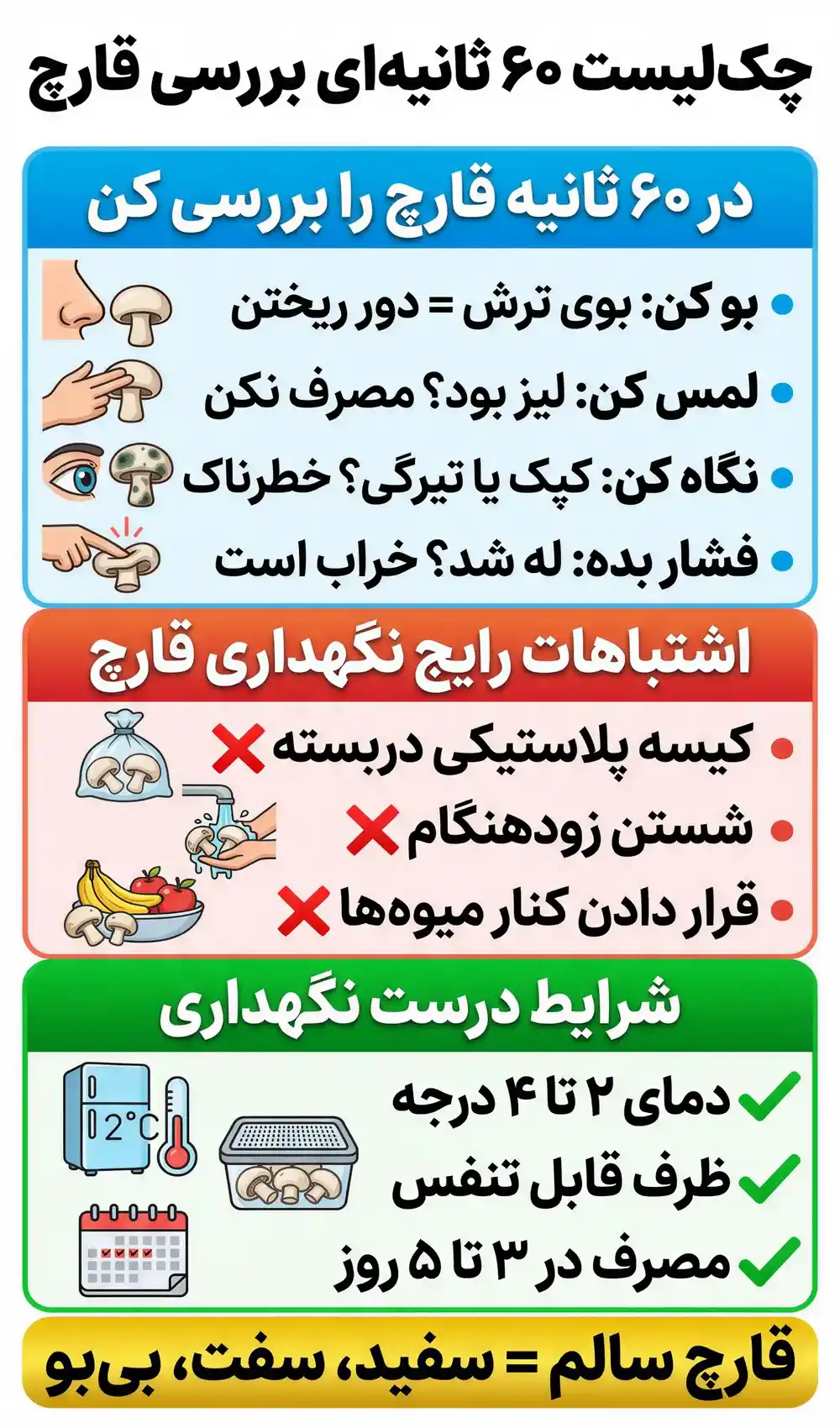 نشانه های خرابی قارچ