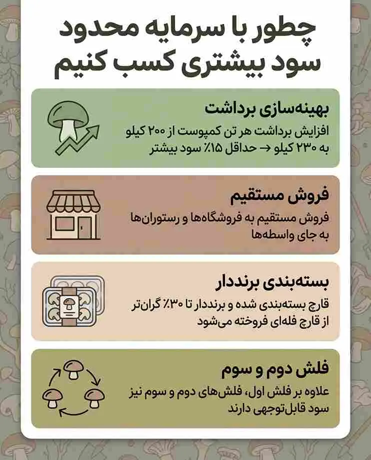 افزایش سود پرورش قارچ یال شیر
