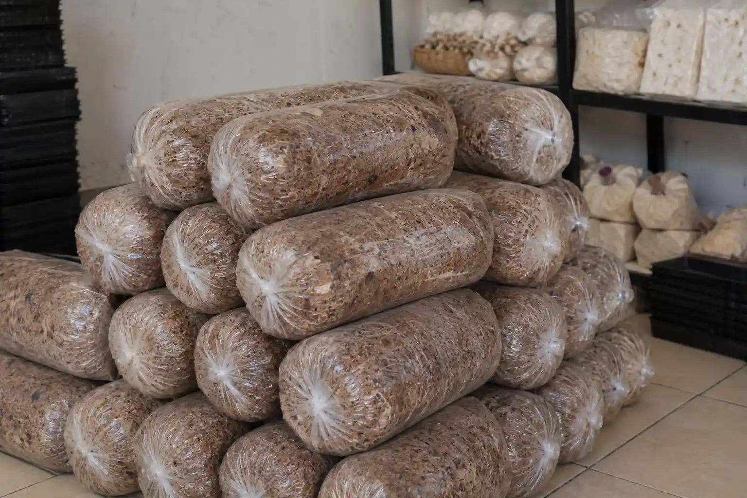 کمپوست آماده قارچ دکمه ای