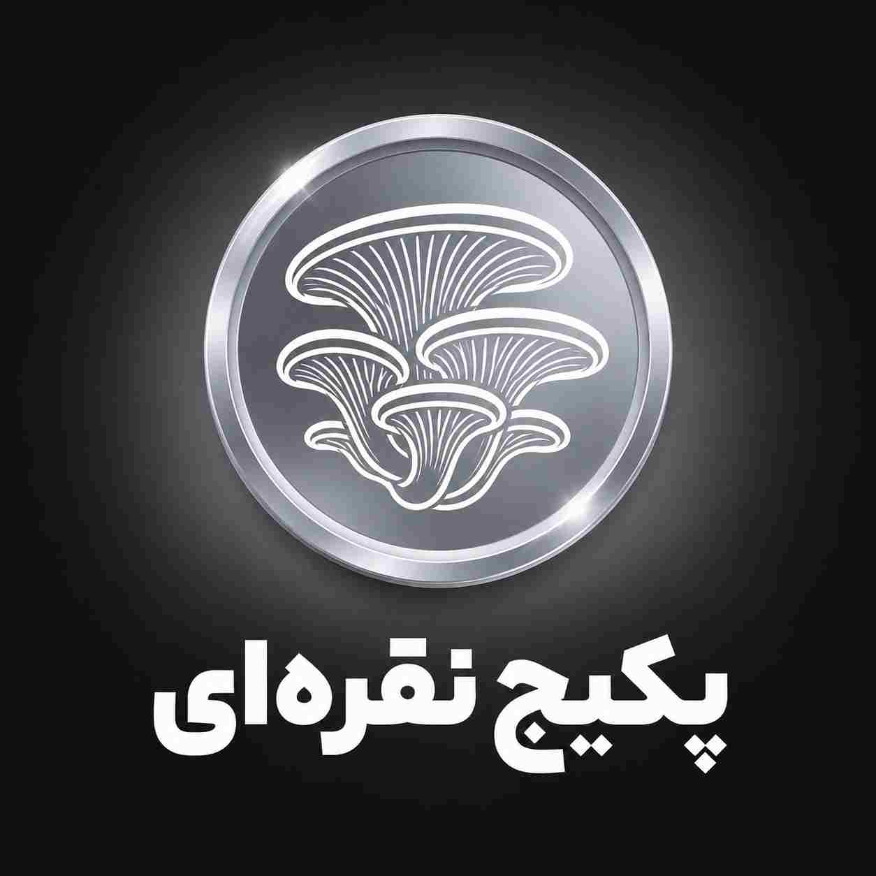 پکیج نقره‌ای