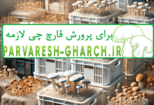پرورش قارچ در سبد میوه (پرورش قارچ در جعبه پلاستیکی)