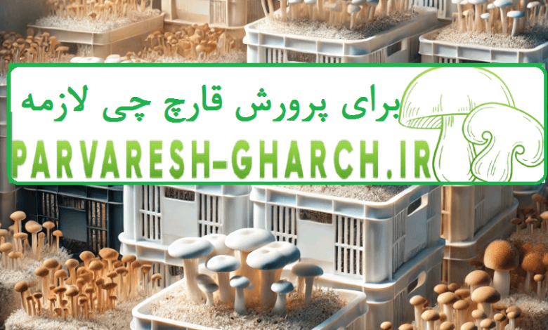 پرورش قارچ در سبد میوه (پرورش قارچ در جعبه پلاستیکی)