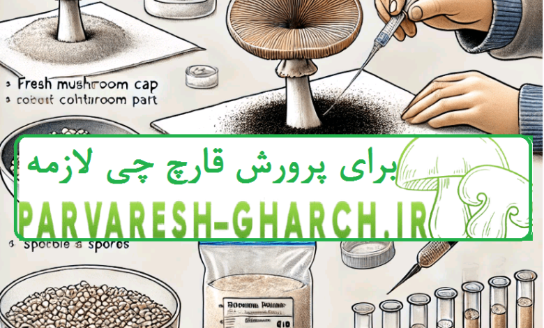 پرورش قارچ بدون بذر  (کشت قارچ با هاگ یا اسپور )