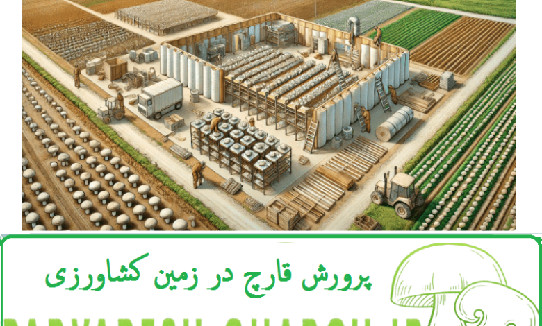پرورش قارچ در زمین کشاورزی