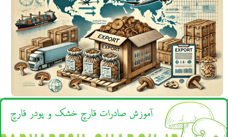 آموزش صادرات قارچ خشک و پودر قارچ