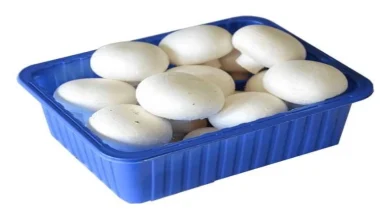 مجوز بسته بندی قارچ