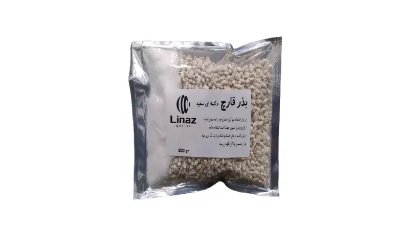 قیمت بذر قارچ سفید