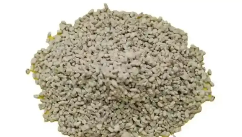 بذر قارچ دکمه ای و خاک قارچ
