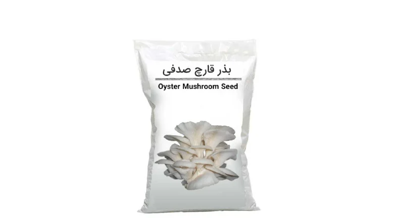بذر قارچ صدفی اصفهان