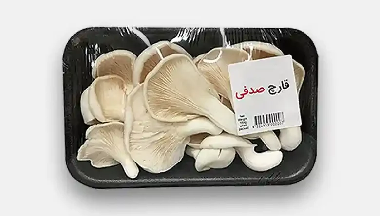 بسته بندی قارچ صدفی
