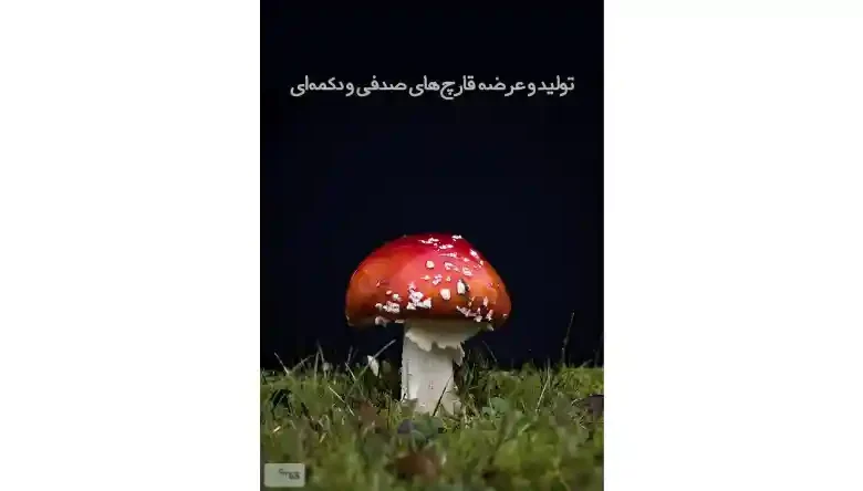 دانلود کتاب تولید و عرضه قارچ های صدفی و دکمه ای