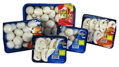 بهترین تولید کننده نایلون بسته بندی قارچ