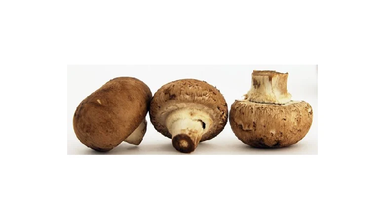 ترخیص قارچ از گمرک