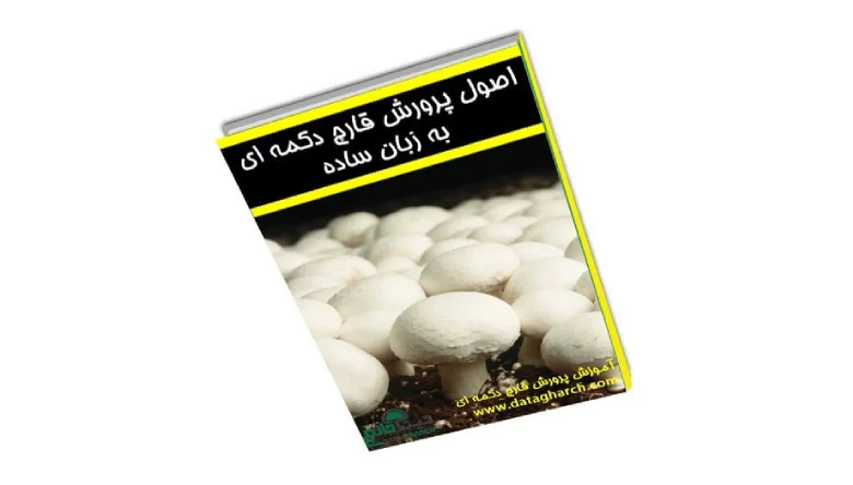 دیتا قارچ اصفهان