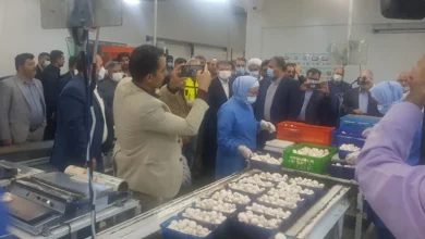 شرکت کشت و صنعت ملارد
