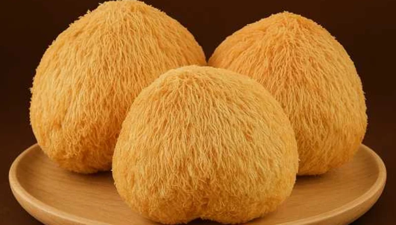 قیمت قارچ یال شیر خشک عمده