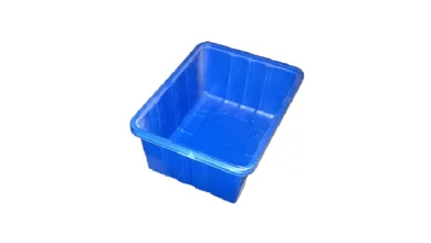 ظرف یکبار مصرف قارچ