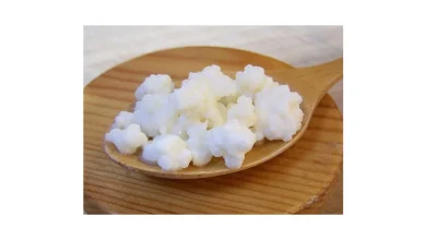 فروش قارچ کفیر