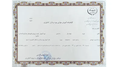 مدرک پرورش قارچ