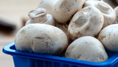 نگهداری قارچ در یخچال