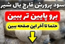 سرمایه لازم برای پرورش قارچ یال شیر