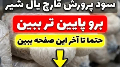 سرمایه لازم برای پرورش قارچ یال شیر