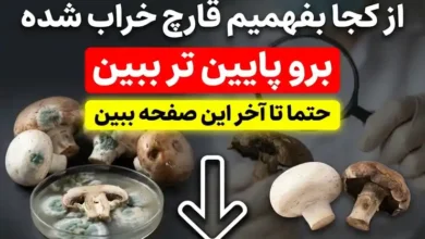 چگونگی تشخیص خرابی قارچ