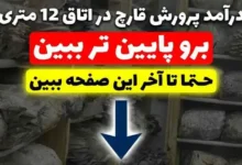 درآمد پرورش قارچ در اتاق ۱۲ متری