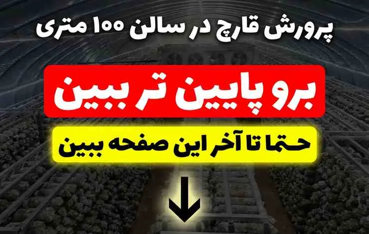 پرورش قارچ در سالن ۱۰۰ متری