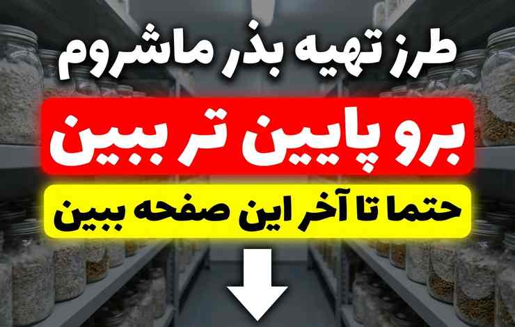 تهیه بذر ماشروم