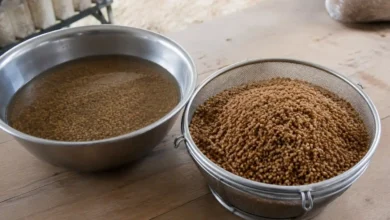 تهیه بذر قارچ