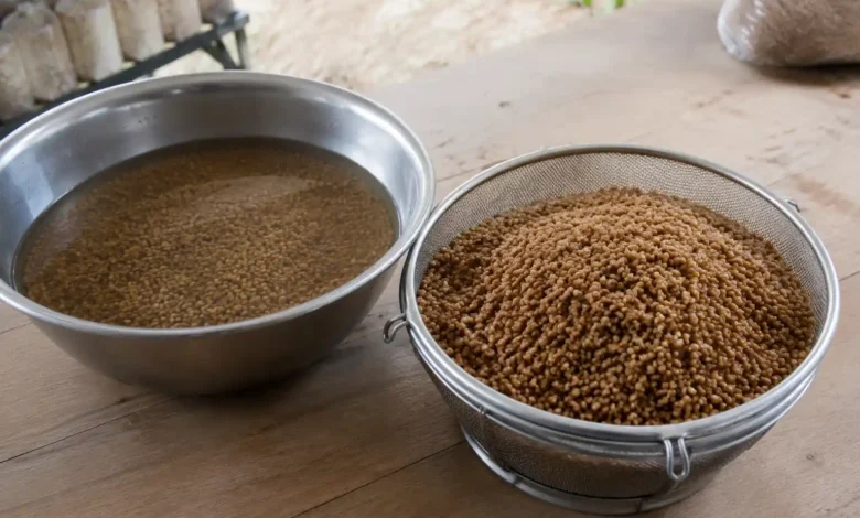 تهیه بذر قارچ