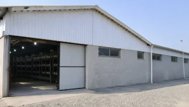 کارخانه قارچ تهران