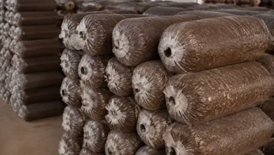 قیمت کمپوست قارچ