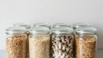 تخم قارچ از کجا تهیه کنیم