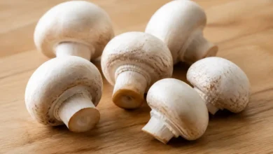 قارچ دکمه‌ای سفید