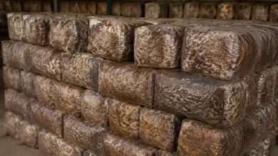 بهترین کمپوست قارچ دکمه ای