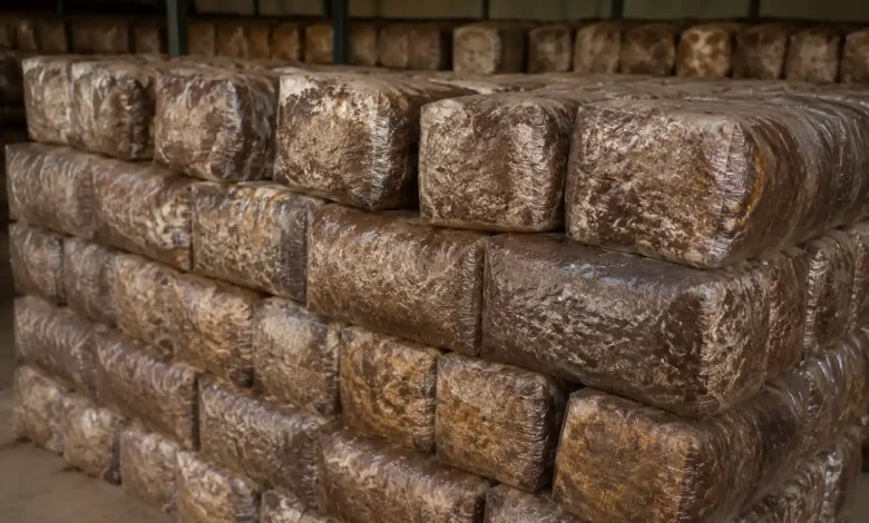 بهترین کمپوست قارچ دکمه ای