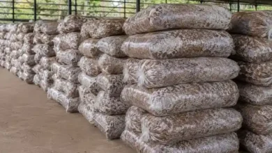 قیمت پسماند کمپوست قارچ