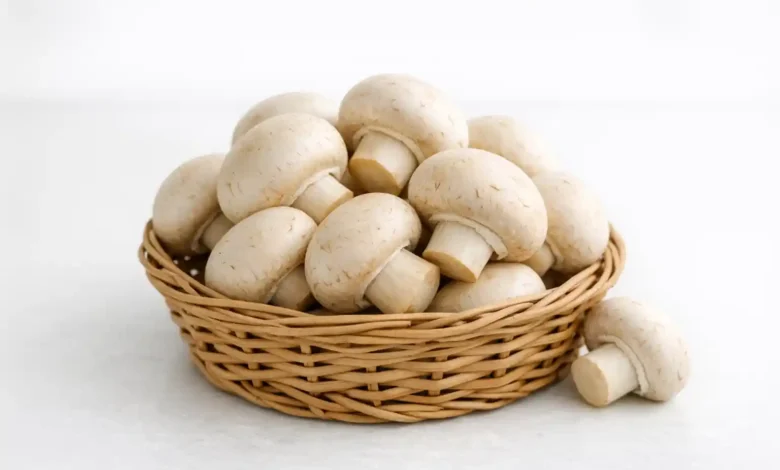 بسته بندی قارچ دکمه ای