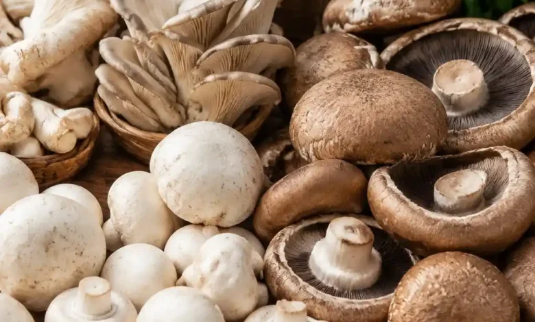 انواع قارچ گیاه