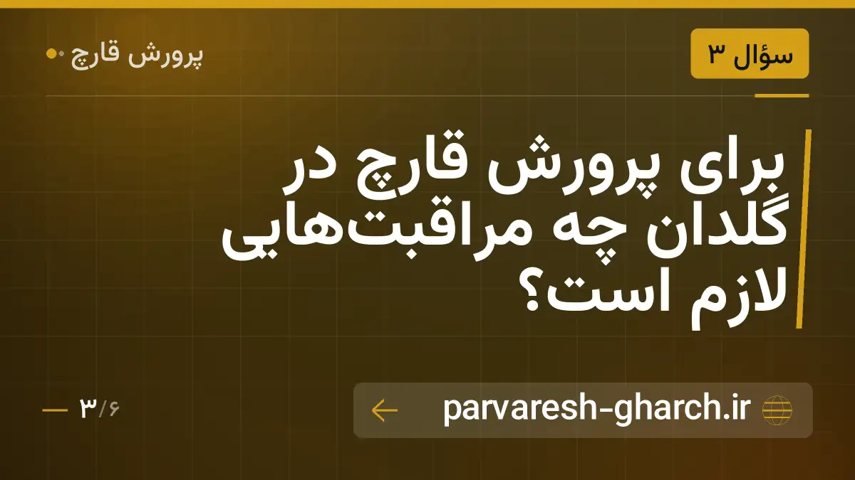برای پرورش قارچ در گلدان چه مراقبتهایی لازم است؟