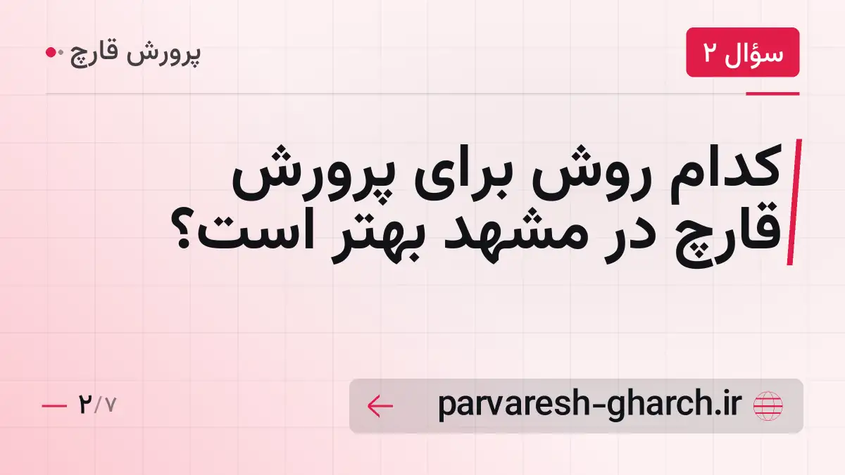 کدام روش برای پرورش قارچ در مشهد بهتر است؟
