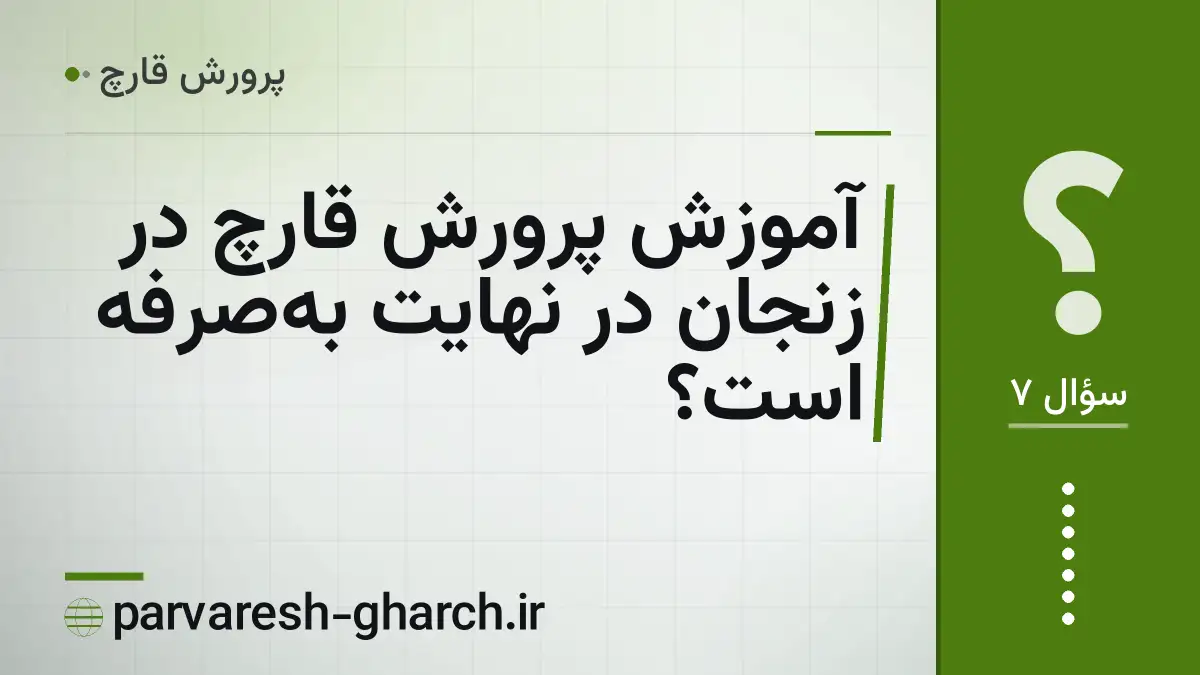آموزش پرورش قارچ در زنجان در نهایت بهصرفه است؟