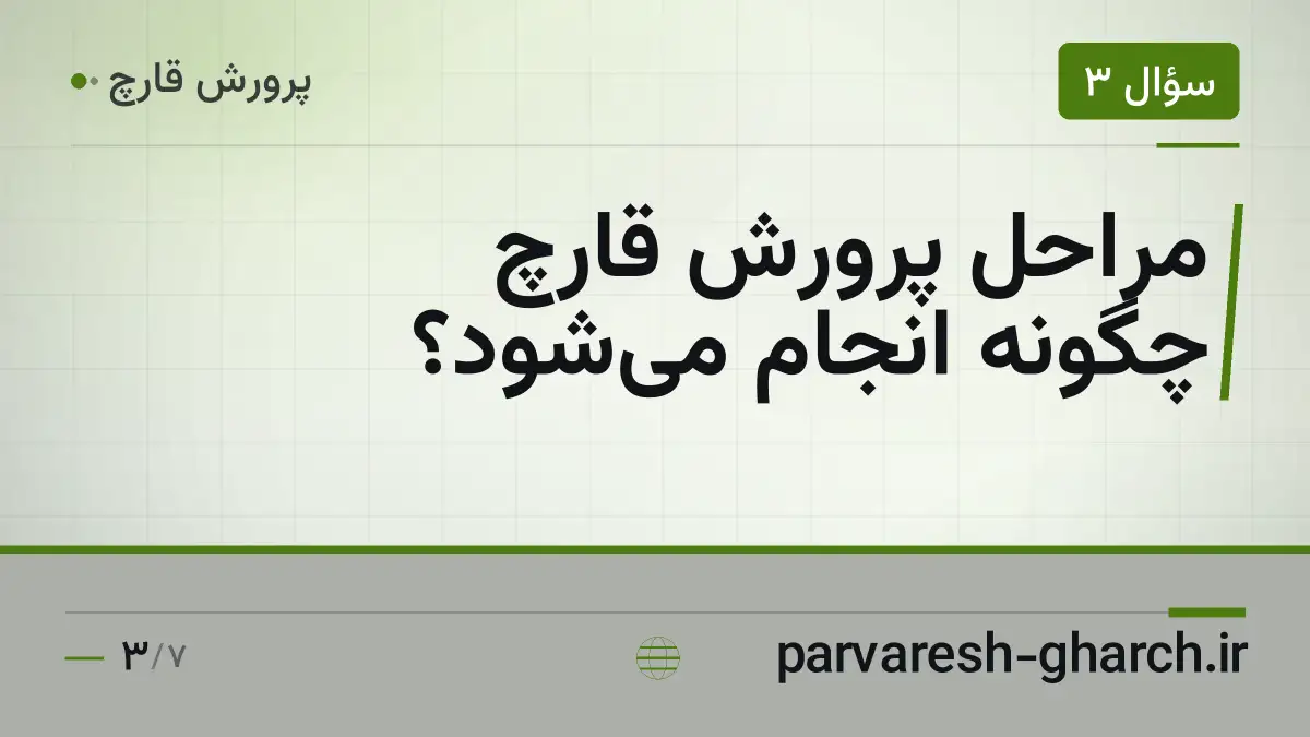 مراحل پرورش قارچ چگونه انجام می‌شود؟